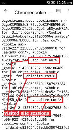 Chromecookie command, whatsapp cloud remote